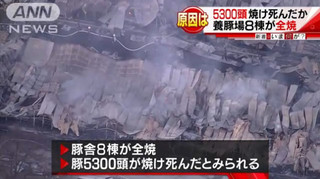 東白川ファーム火災.jpg