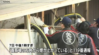 養豚場の方角から煙が上がっている.jpg